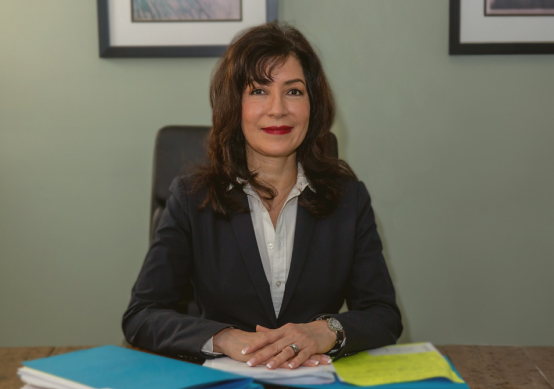 about-us › Desiree de Moya, Esq. | Divorce Lawyer Rockland County NY | Bankruptcy Attorney New York